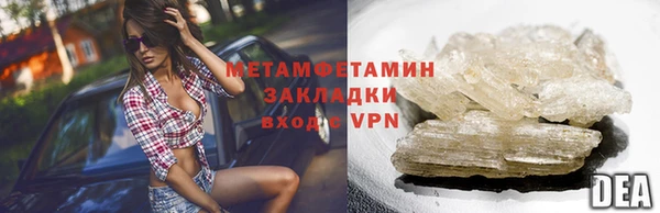 индика Осинники