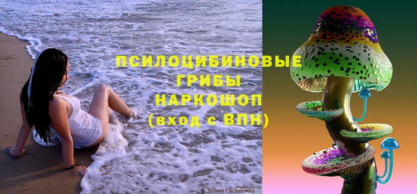 дурь Балахна