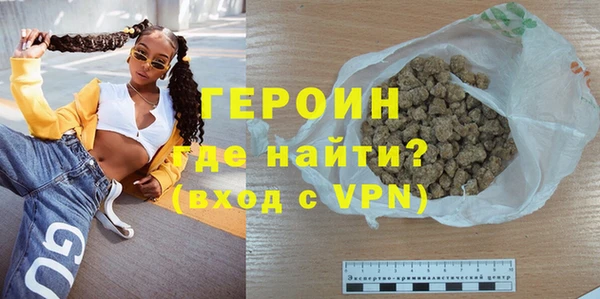 индика Осинники