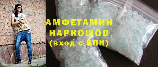 индика Осинники