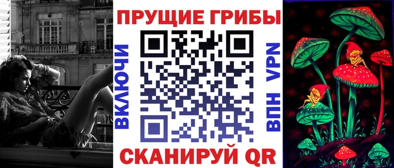Псилоцибиновые грибы Psilocybine cubensis  купить   Сосновоборск 